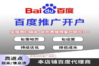 百度推广实战攻略：案例与策略